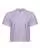 850004.webp