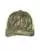 850645.webp
