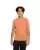852126.webp