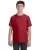 8551.webp