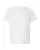 85528_f_fl.webp