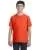 8555.webp