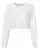 85566_f_fl.webp
