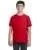 8558.webp