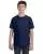 8561.webp