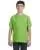 8563.webp