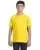 8564.webp