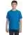 8565.webp