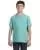 8566.webp