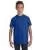 8572.webp