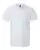 858033.webp