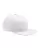 8662.webp