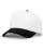 877461.webp