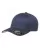 8833.webp