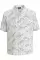 885804.webp