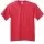 9096.webp