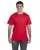 9333.webp