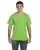 9337.webp