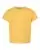 93371_f_fl.webp