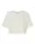93455_f_fl.webp
