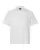 937103.webp