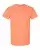 937503.webp