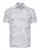 938646.webp