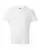 940388.webp