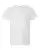 941469.webp