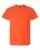 941542.webp