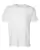 941801.webp