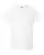 941955.webp