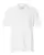 943527.webp