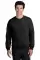 944031.webp