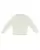 945548.webp