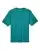 945982.webp
