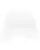 950034.webp