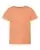 96576_f_fl.webp