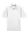 968119.webp