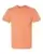96902_f_fl.webp