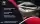 989667.webp