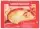 992298.webp