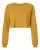99535_f_fl.webp